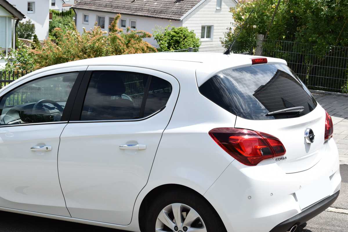 FVB-Carbon-15 Produktbild